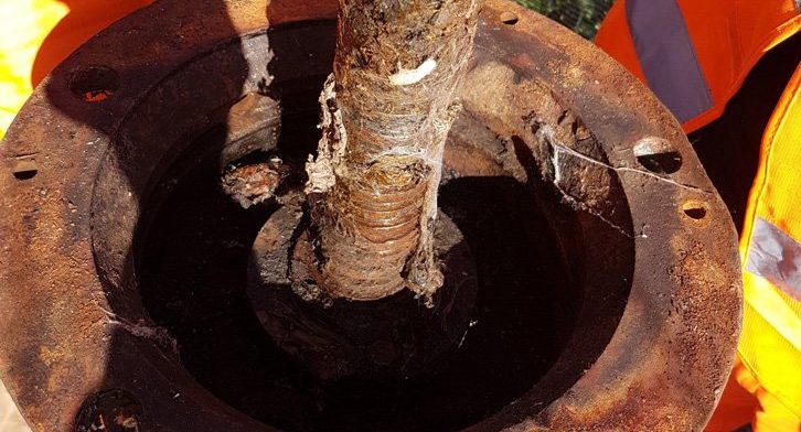 Rusty penstock mechanism